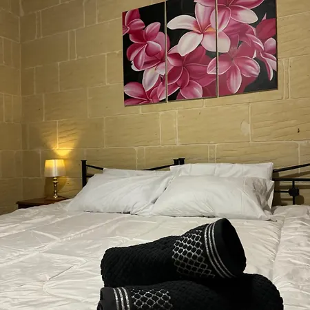 Tal-bir Farmhouse 招待所 纳杜尔